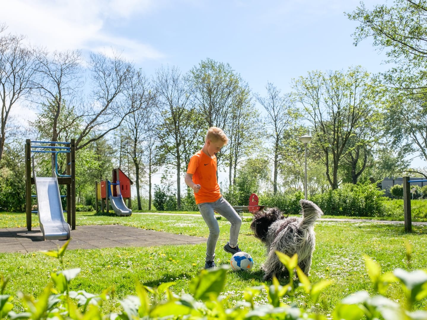 Beheer Buitenruimte